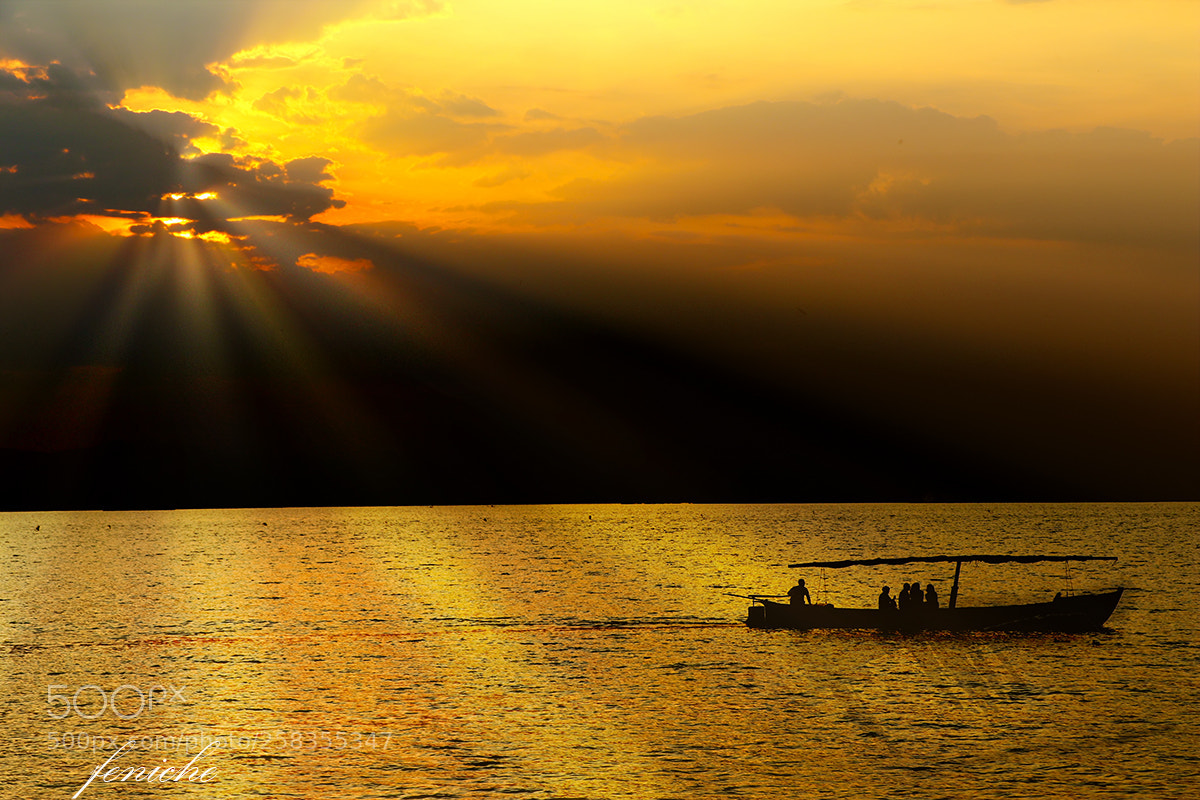 Canon EOS 77D (EOS 9000D / EOS 770D) sample photo. Atardecer valencia albufera photography