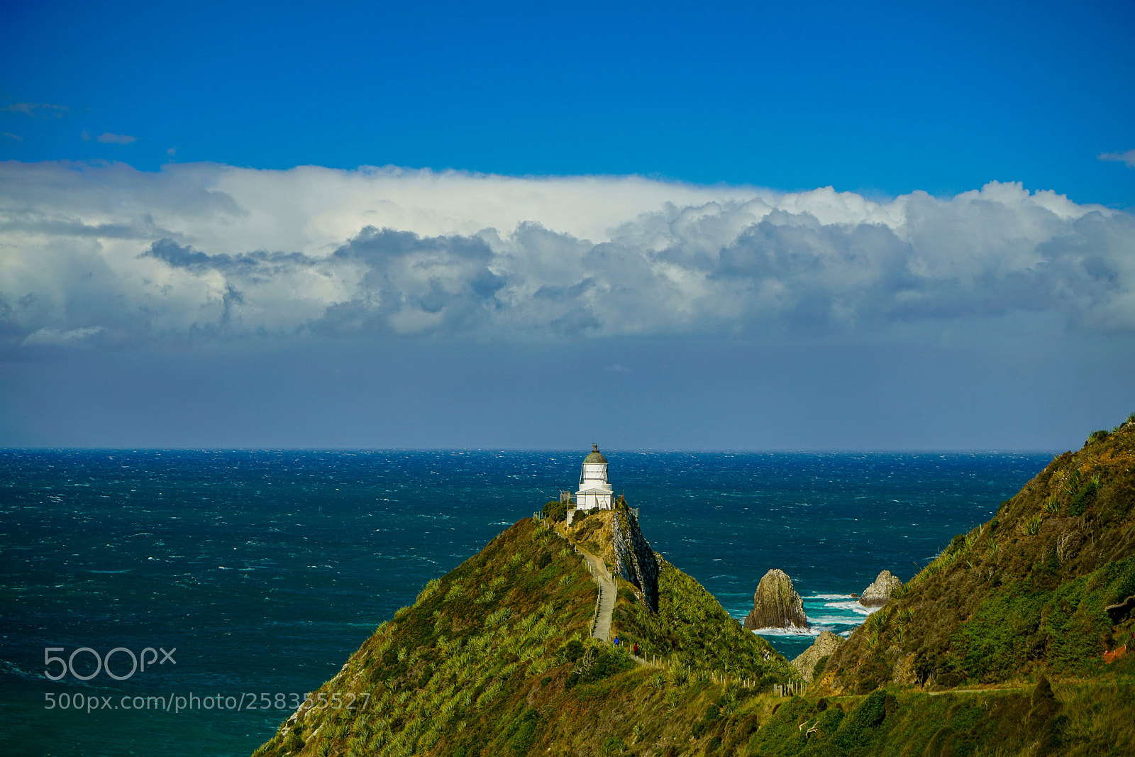 Sony a7R II sample photo. Nugget point photography