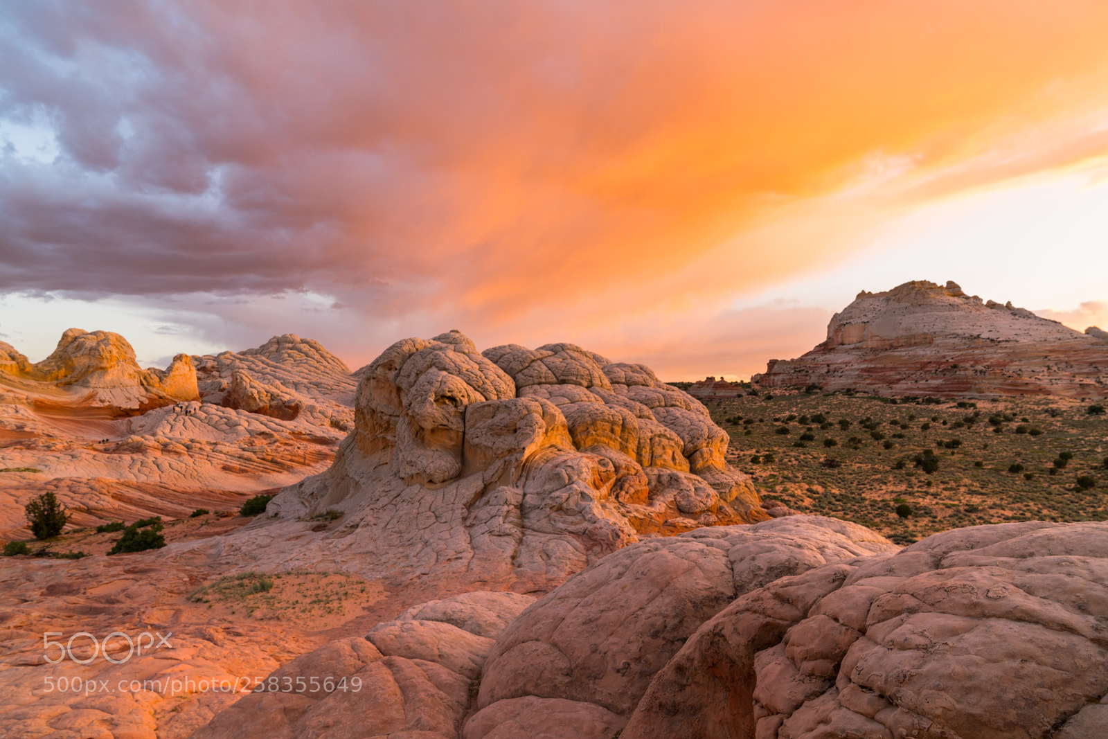 Sony a7R II sample photo. Life on mars photography