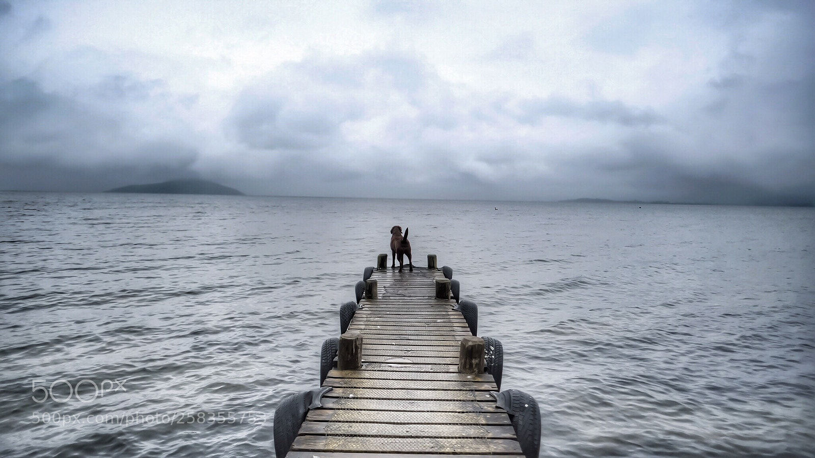 Fujifilm X-T2 sample photo. Big lake, small ball photography