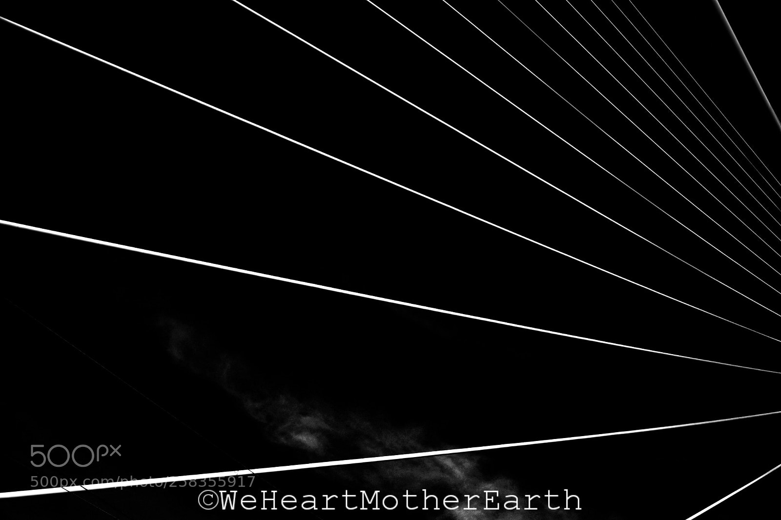 Nikon D500 sample photo. The world is full photography