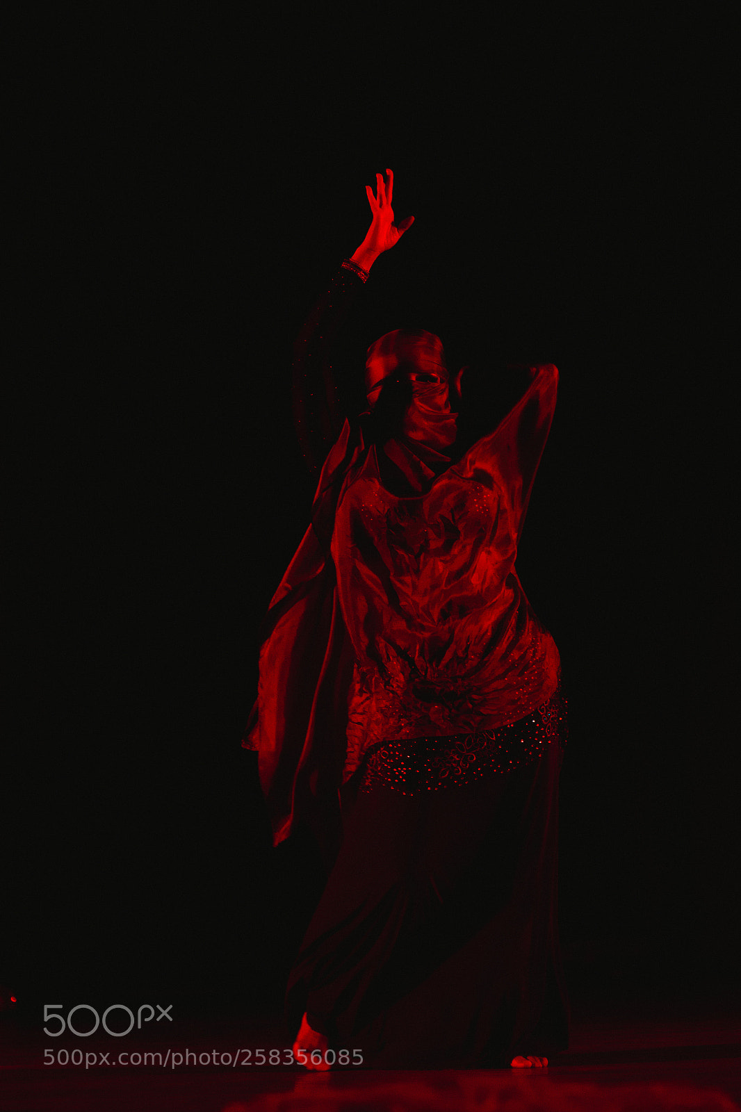 Canon EOS 6D sample photo. Bellydance photography