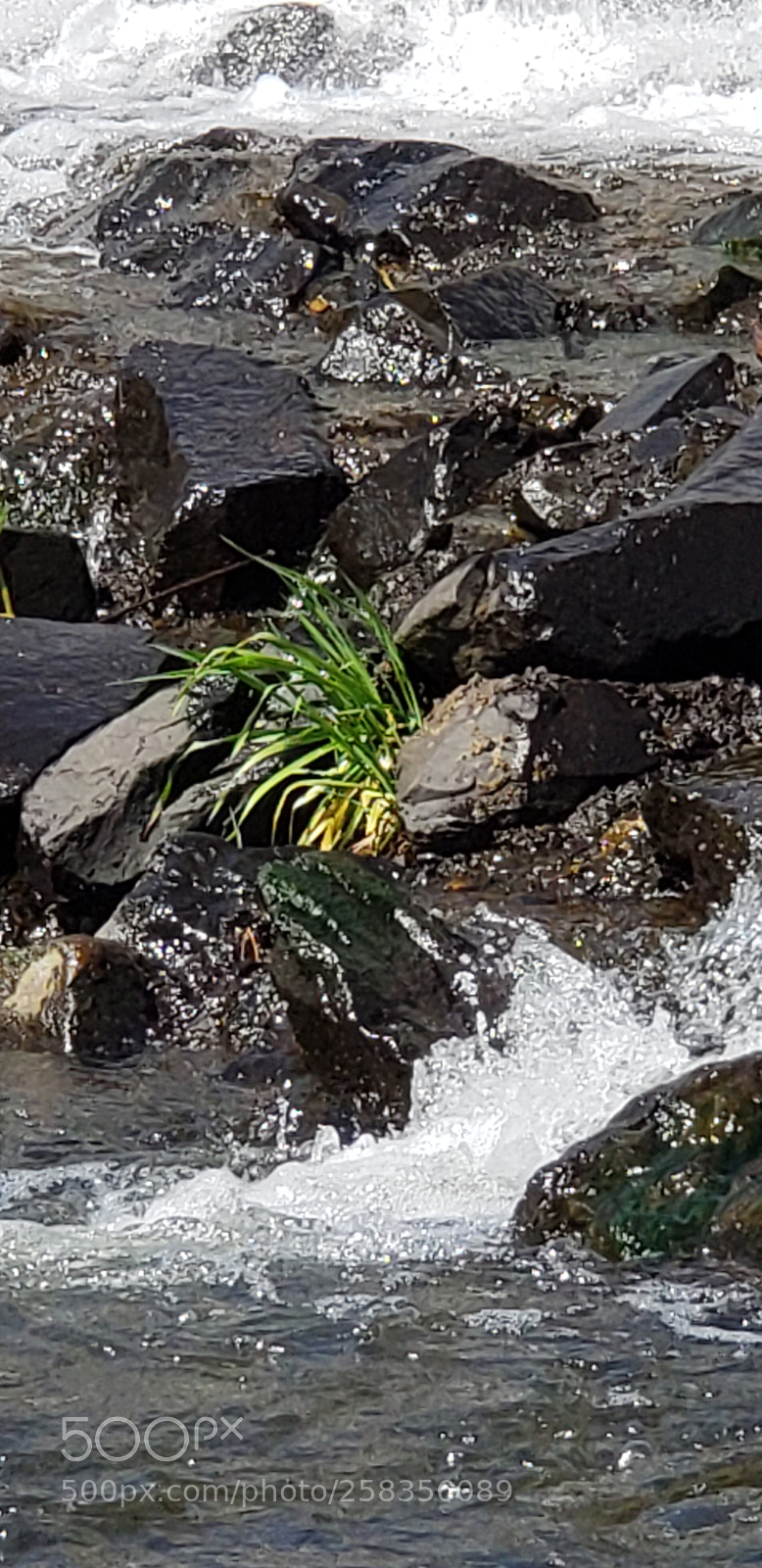 Samsung Galaxy S9+ sample photo. Untitled photography