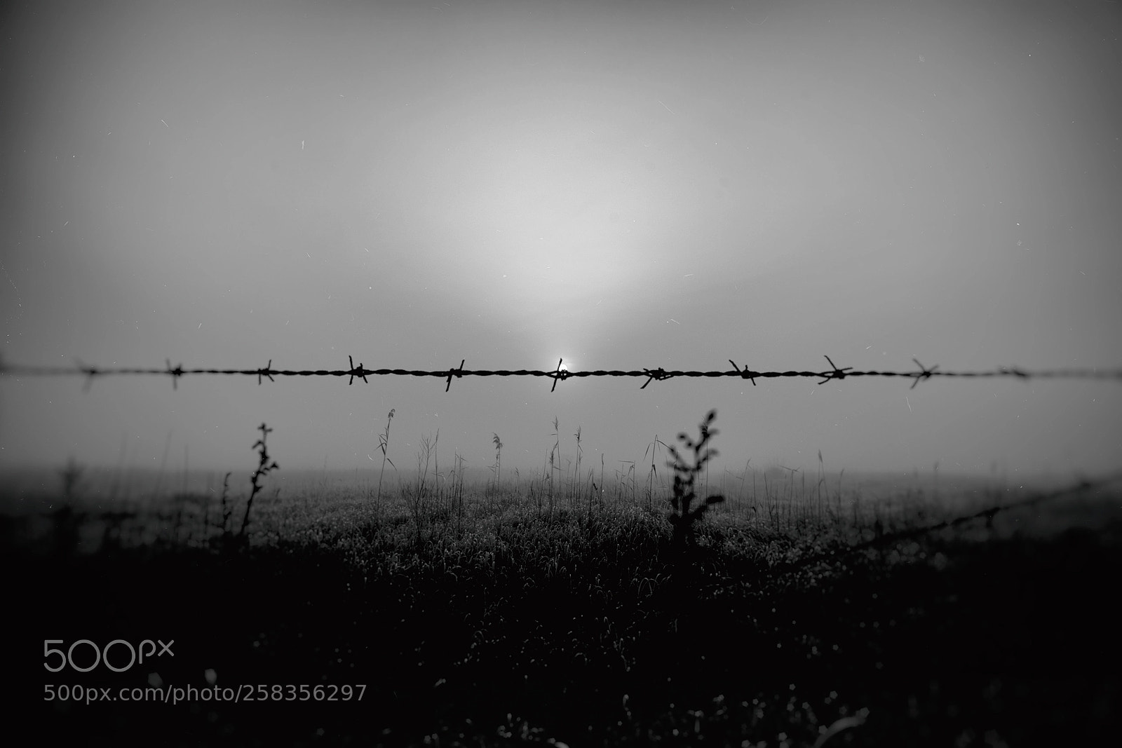 Nikon D810 sample photo. Borderline. photography
