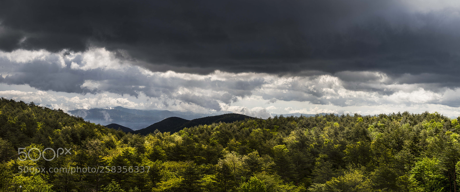 Canon EOS-1D X Mark II sample photo. View from the mountain photography