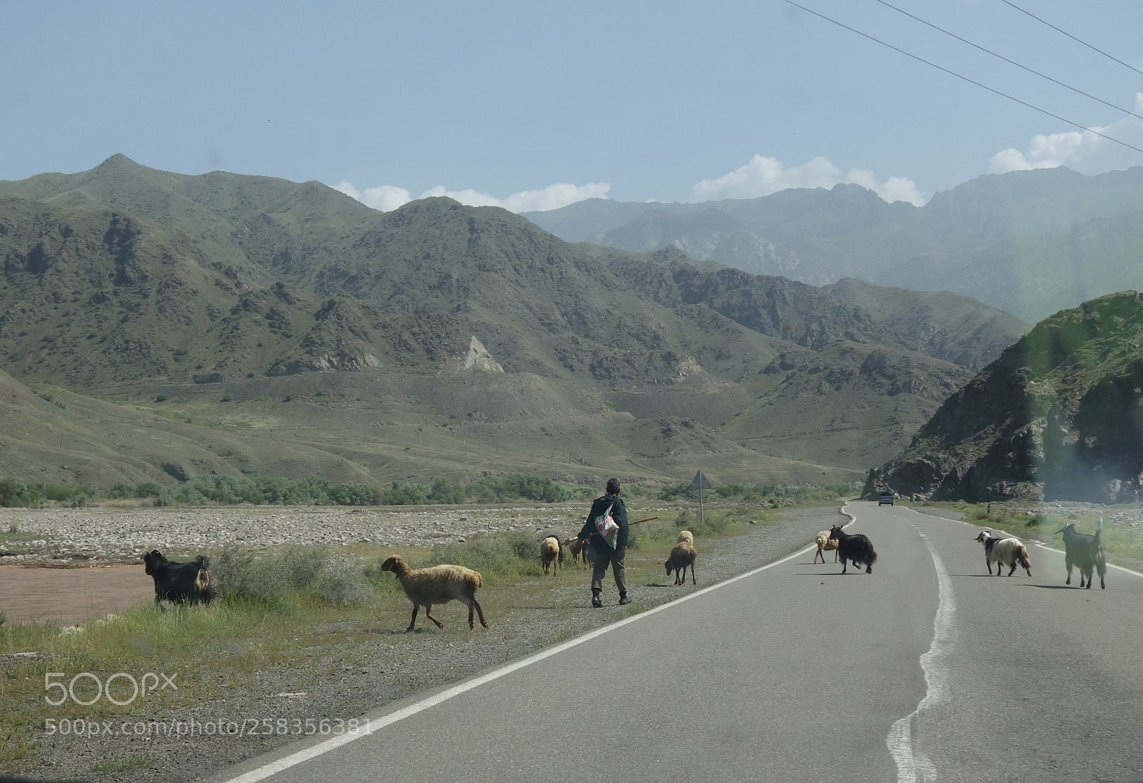 Sony Cyber-shot DSC-RX100 II sample photo. A shepherd in the photography