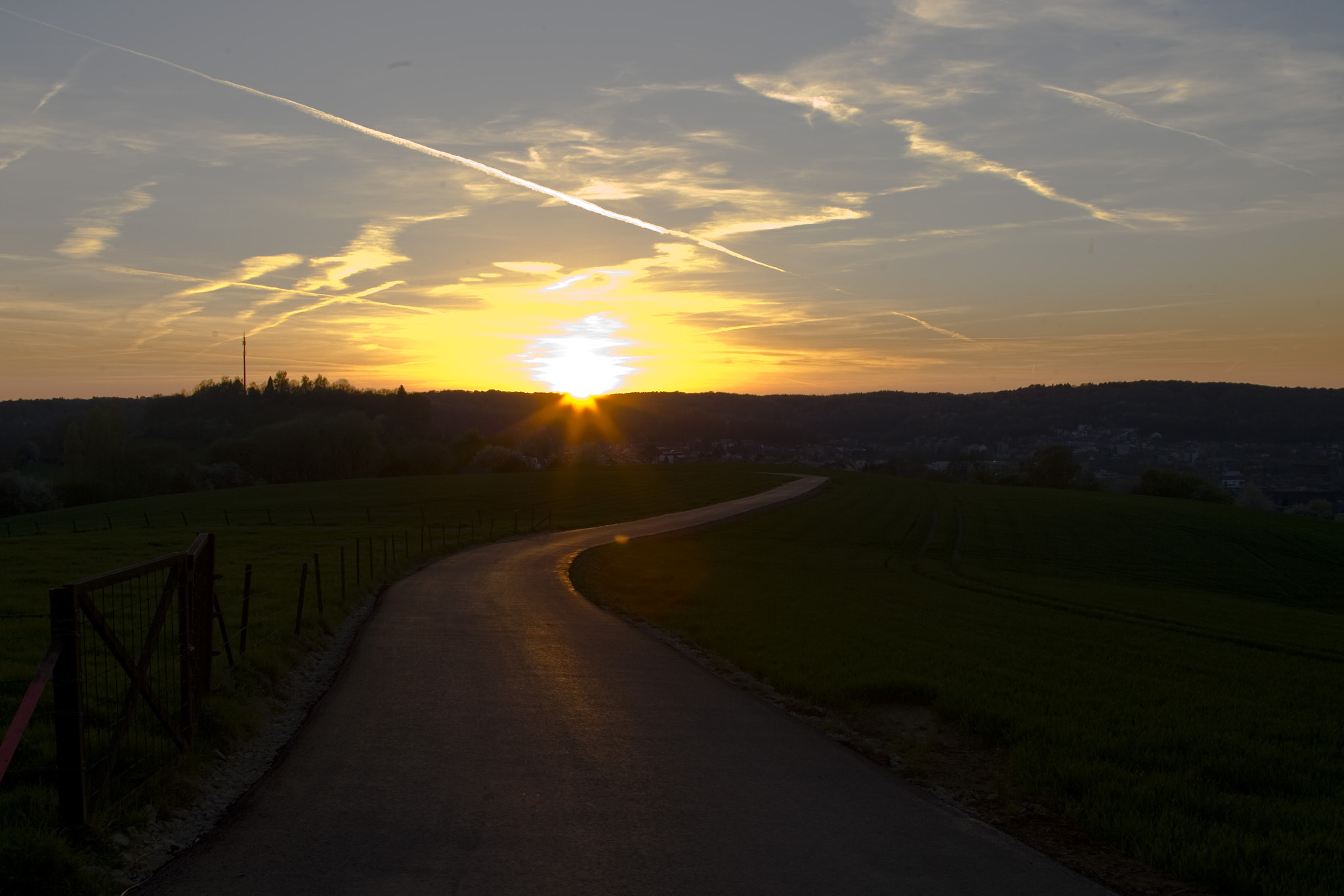 Canon EOS-1D Mark II sample photo. Caminho para casa... photography