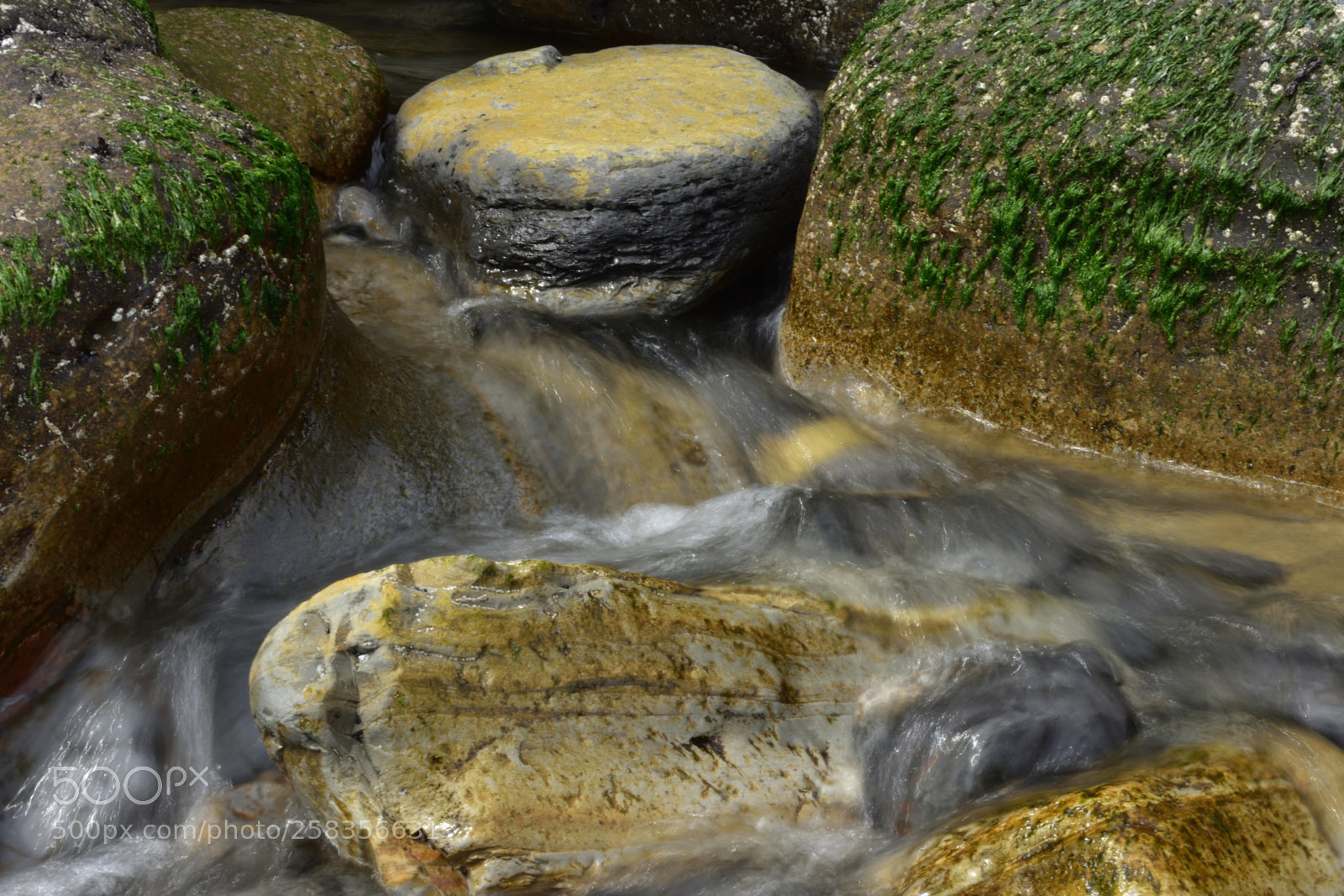 Nikon D3400 sample photo. Running water photography