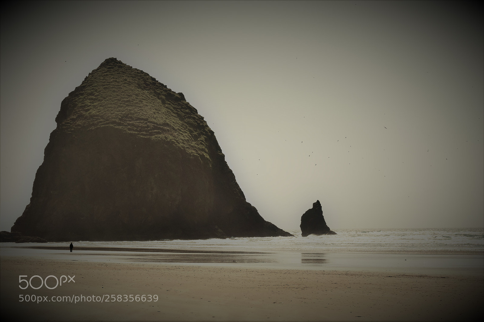 Nikon D3400 sample photo. Haystack rock photography