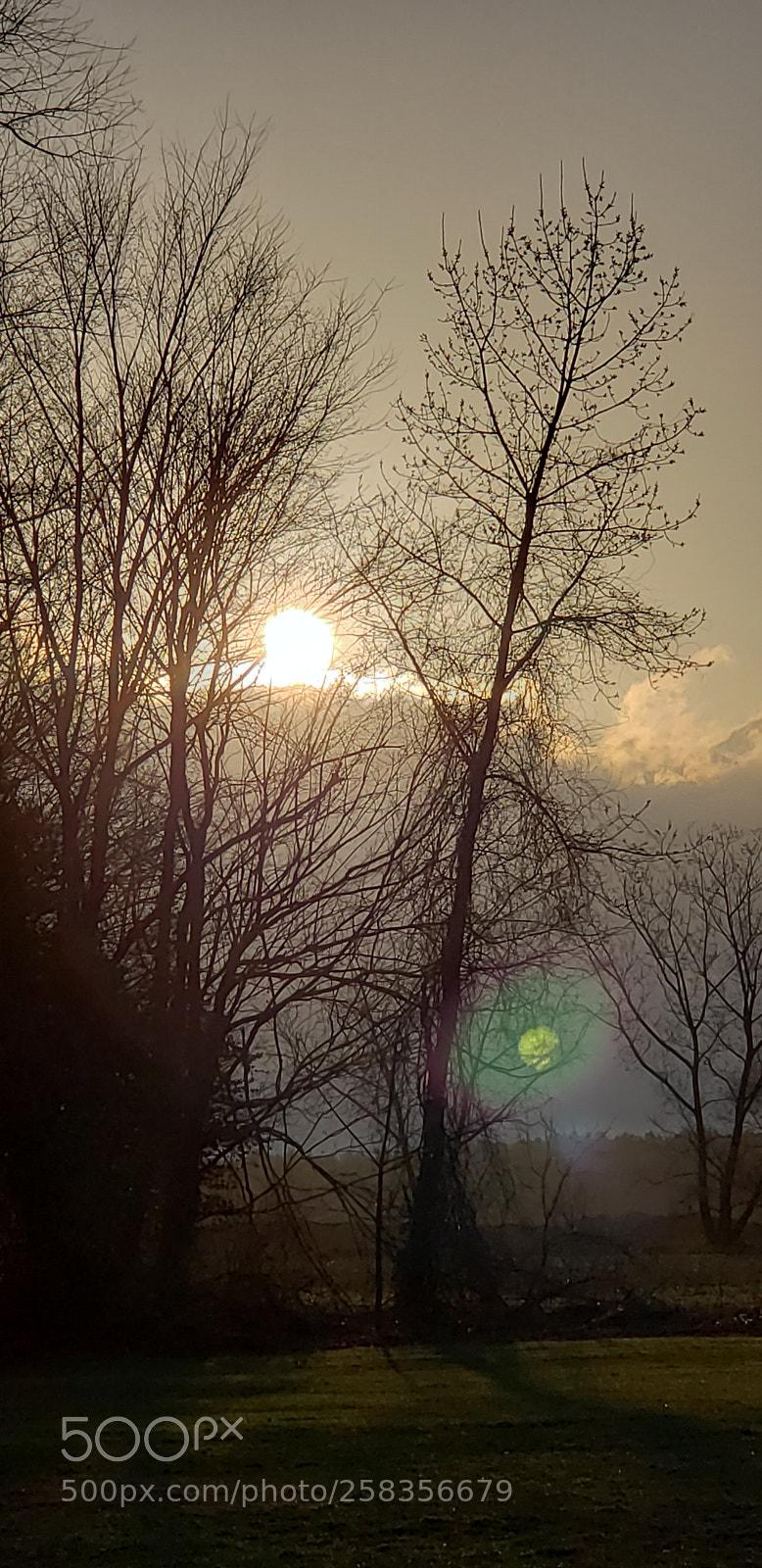 Samsung Galaxy S9+ sample photo. Untitled photography