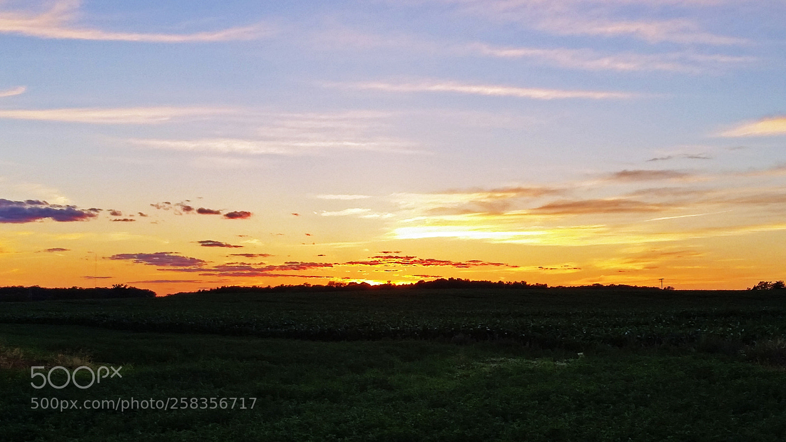 Samsung Galaxy S5 sample photo. Sunset over field photography