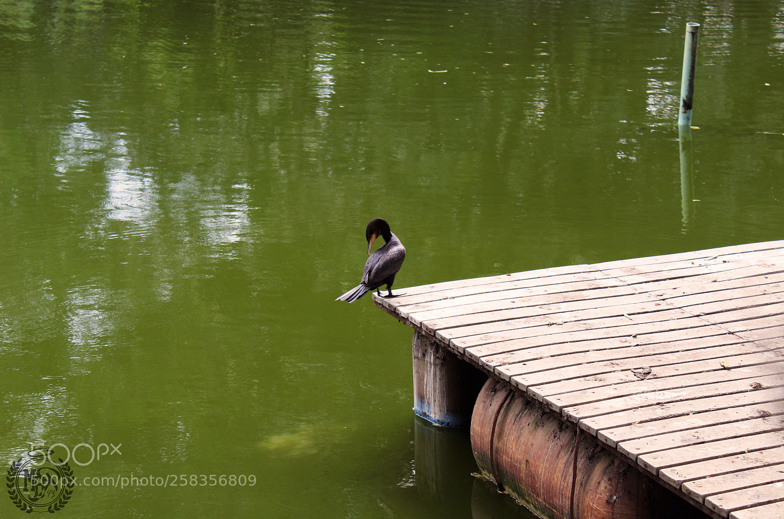 Canon EOS 1300D (EOS Rebel T6 / EOS Kiss X80) sample photo. Naturaleza photography