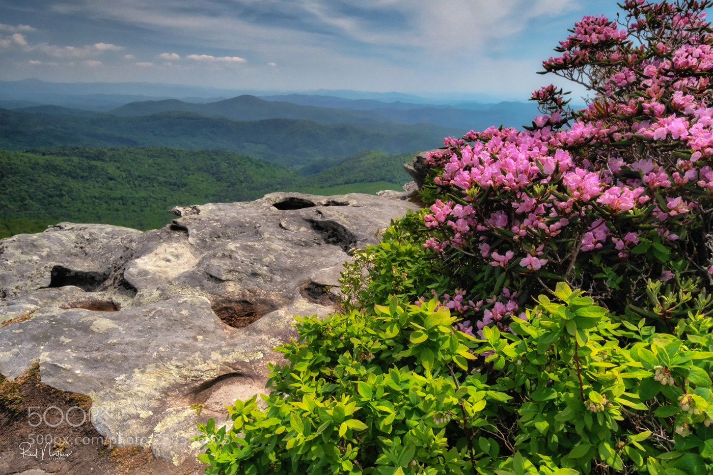Nikon D850 sample photo. Hawksbill mountain in the photography