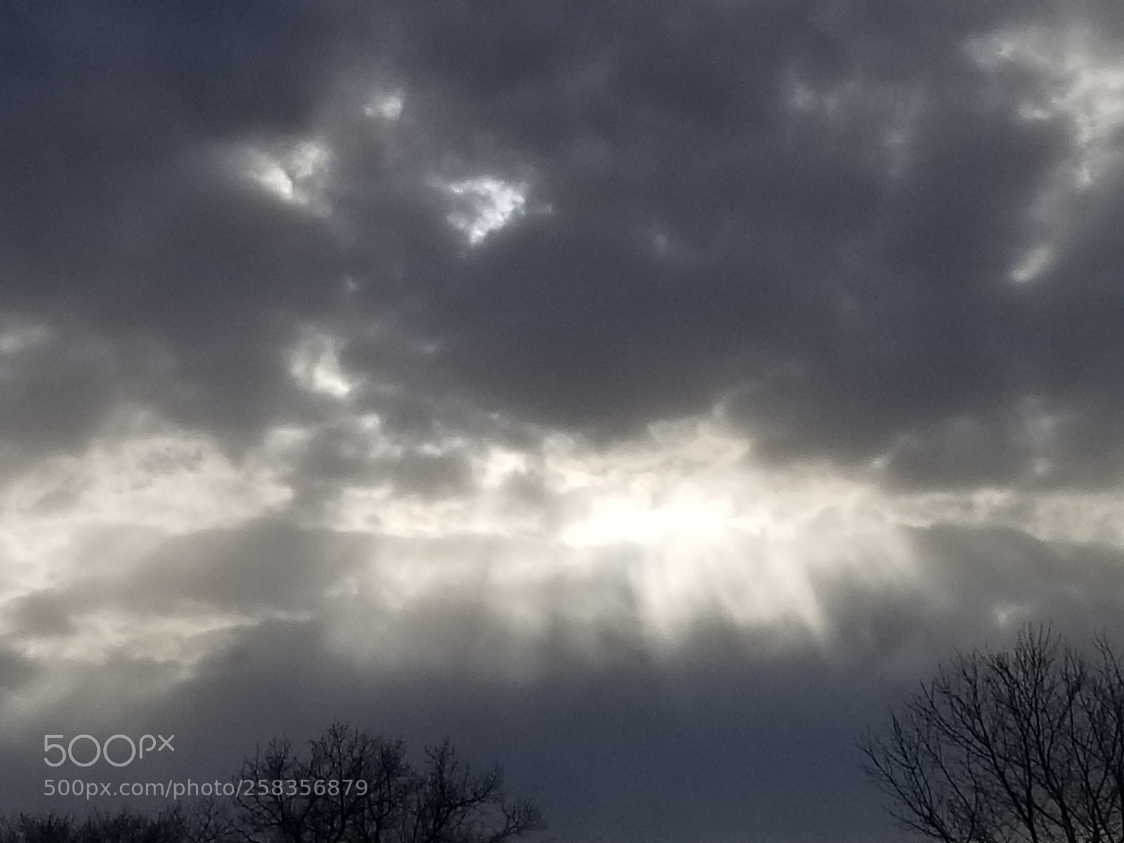 Samsung Galaxy S8 sample photo. Angels in heaven photography