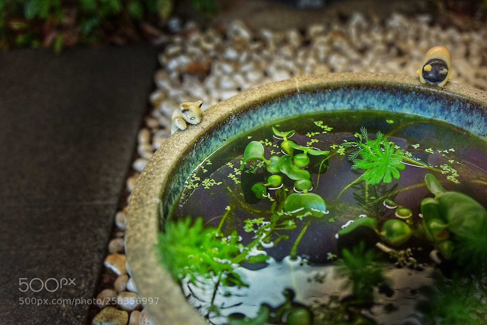 Nikon D7200 sample photo. Japanese modern photography