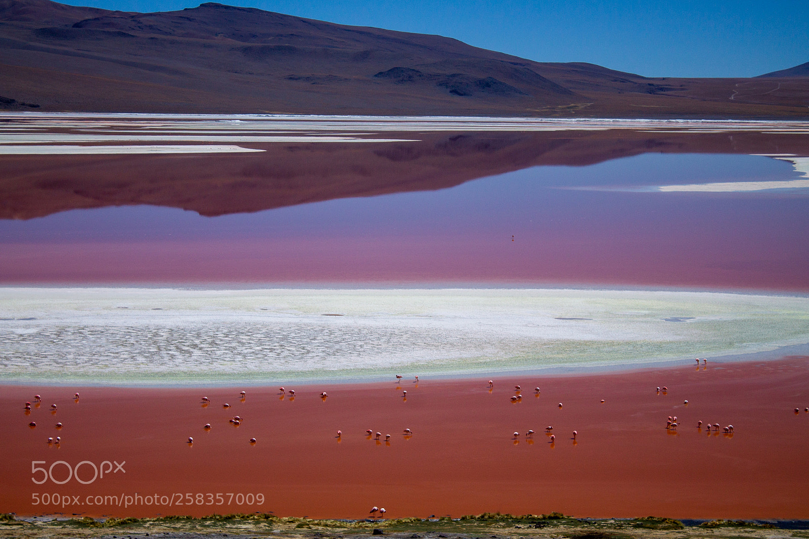 Canon EOS 1100D (EOS Rebel T3 / EOS Kiss X50) sample photo. Laguna colorada photography