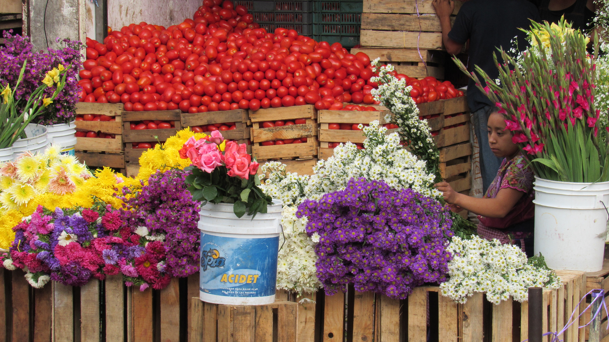 Canon PowerShot SX520 HS sample photo. La dama de las flores photography