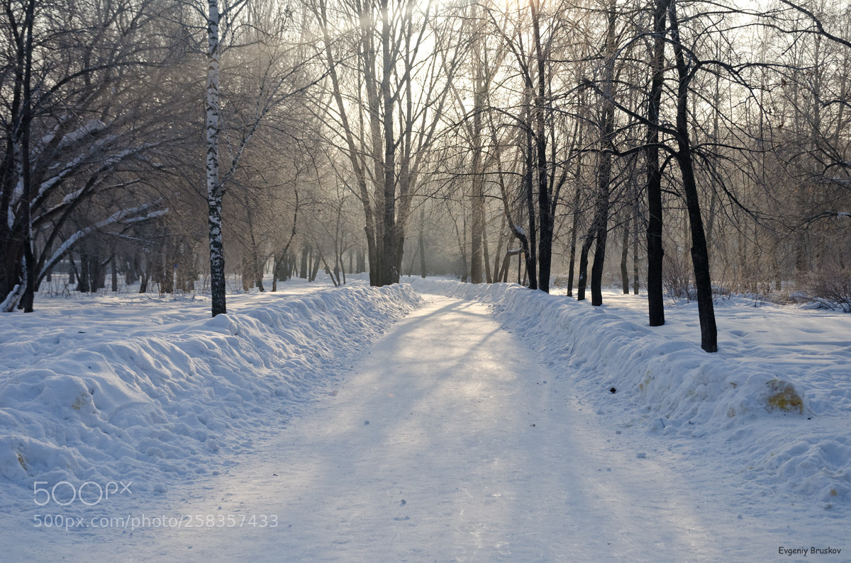 Nikon D7000 sample photo. Морозное утро photography