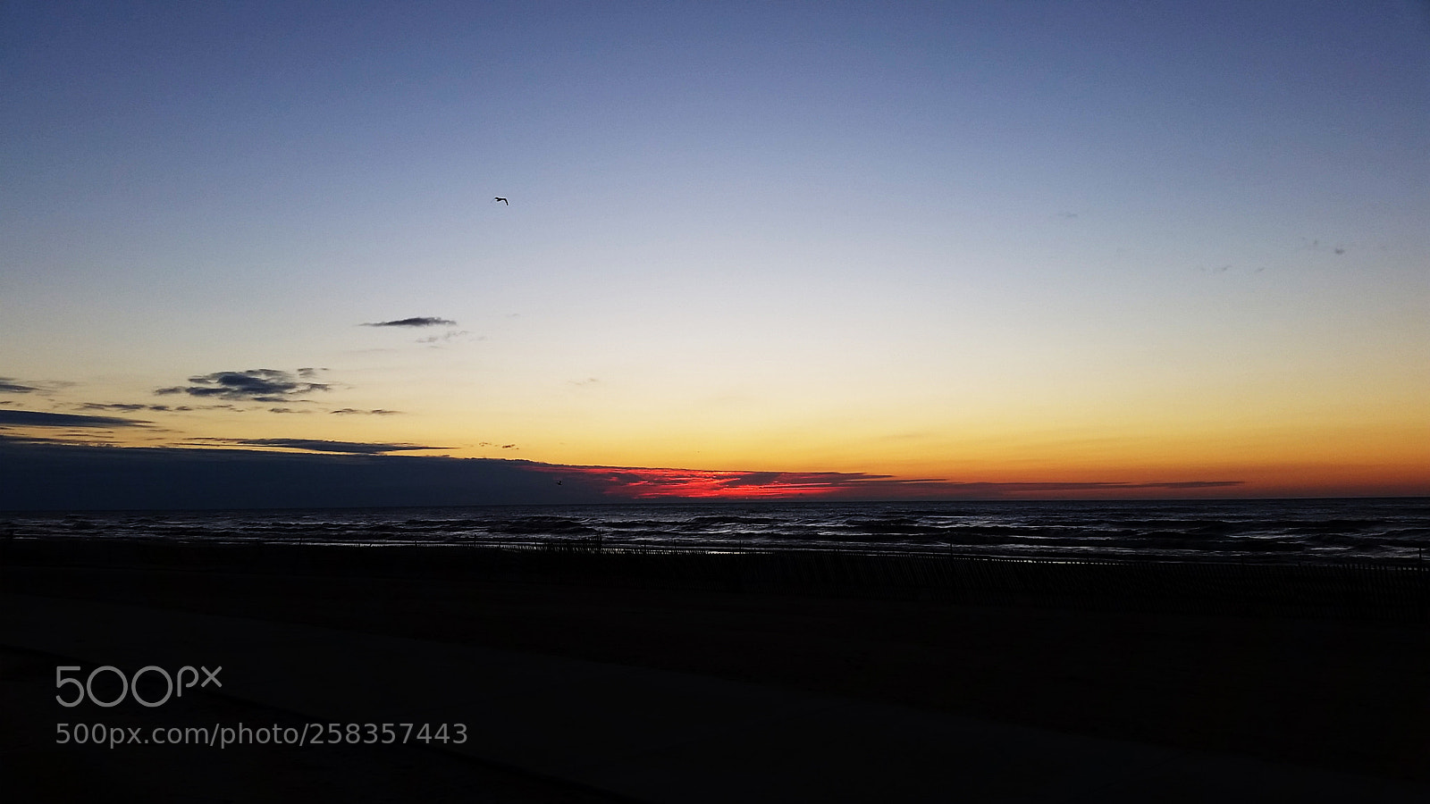 Samsung Galaxy S5 sample photo. Morning sunrise photography