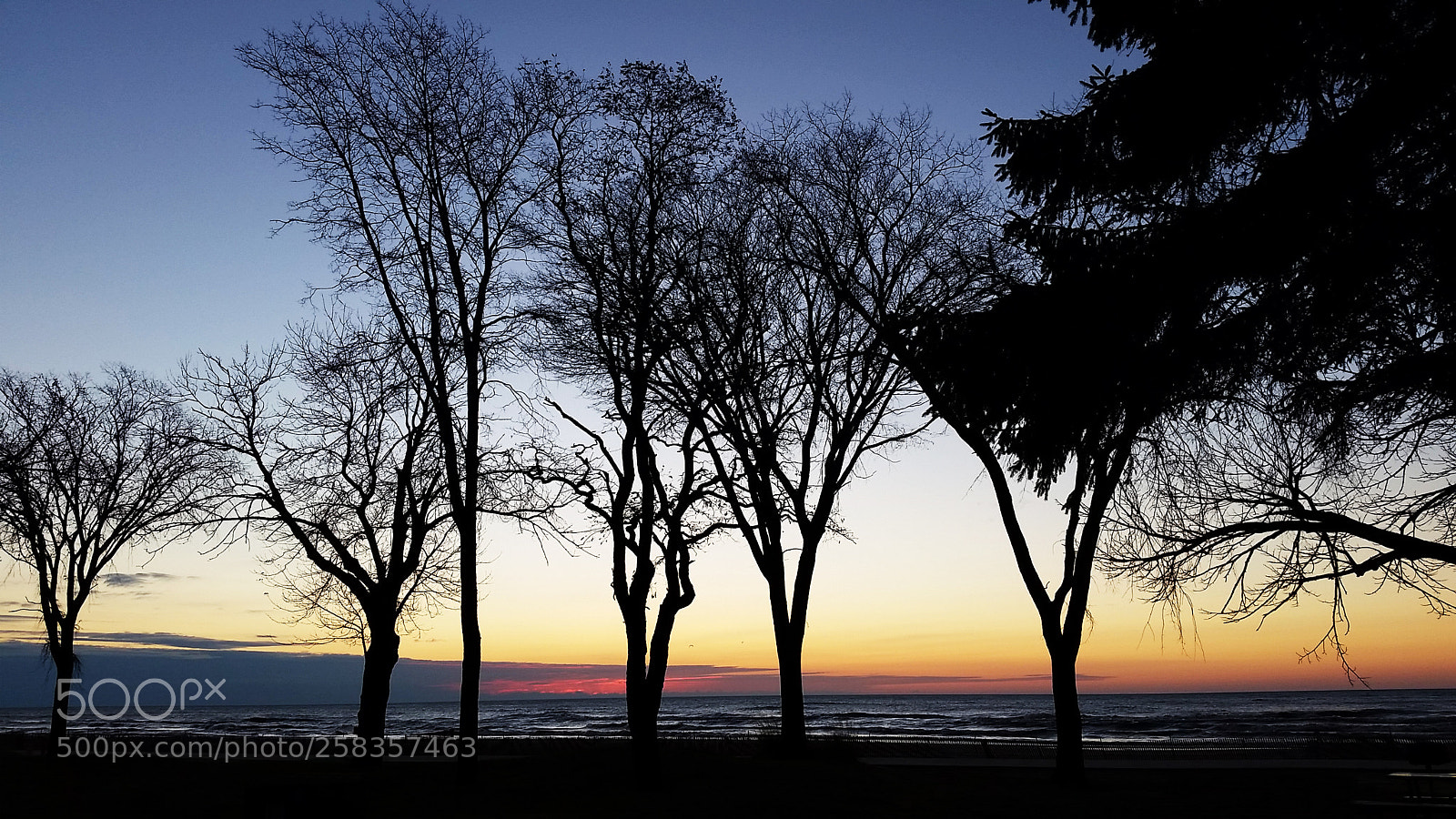 Samsung Galaxy S5 sample photo. Sunrise through the trees photography