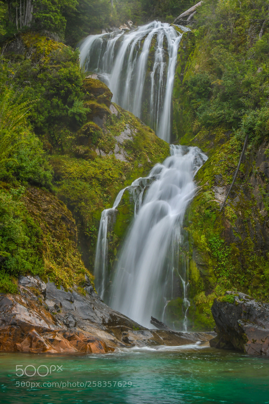 Nikon D500 sample photo. Tristeza fall photography