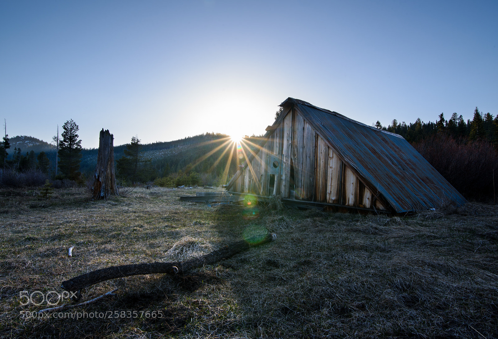 Nikon D750 sample photo. The house that couldn't photography