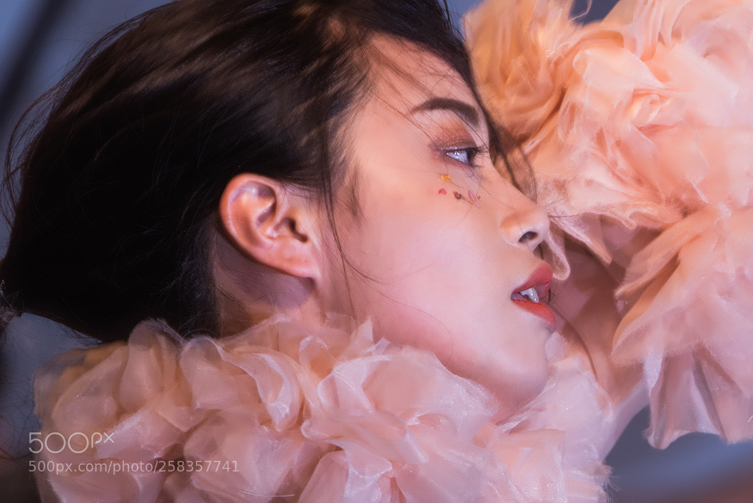 Nikon D750 sample photo. Urchins photography