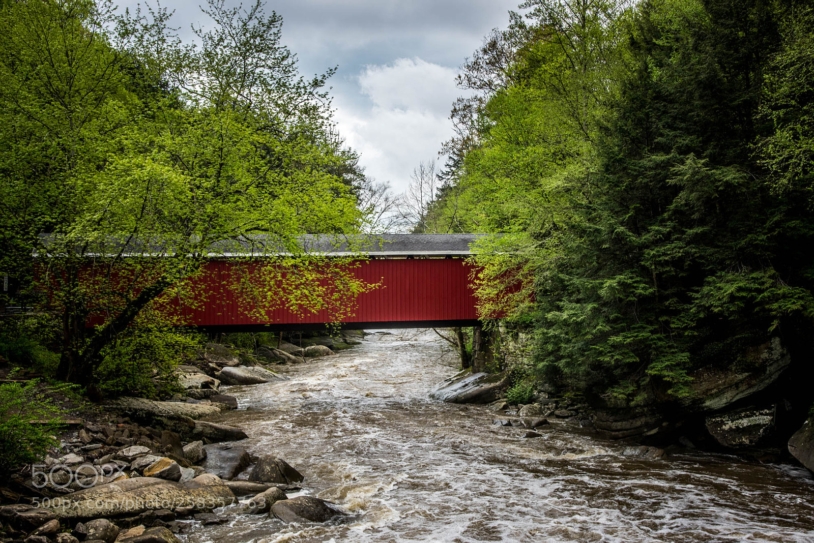 Nikon D810 sample photo. After the storm photography