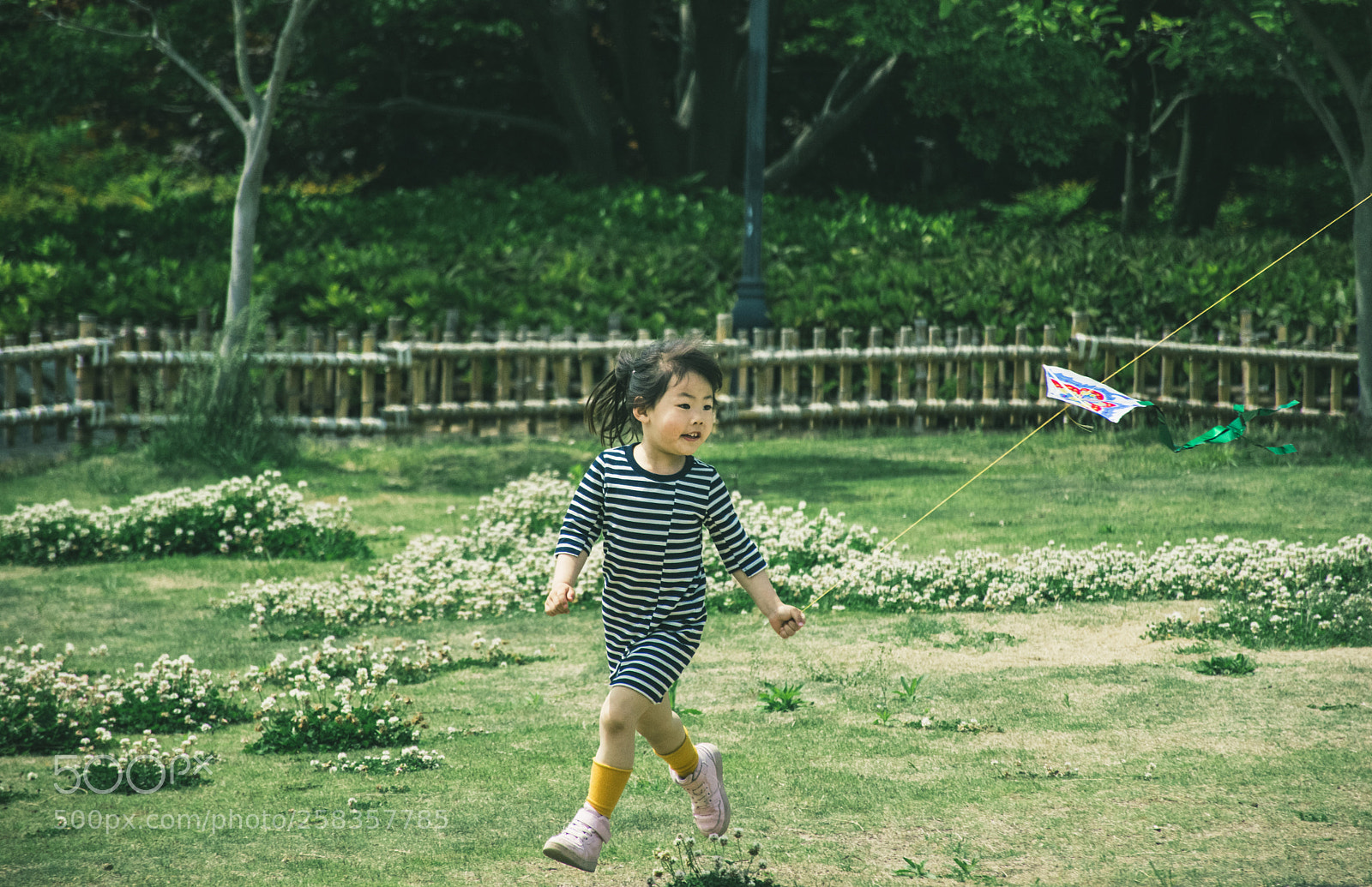 Nikon D5300 sample photo. Innocence photography