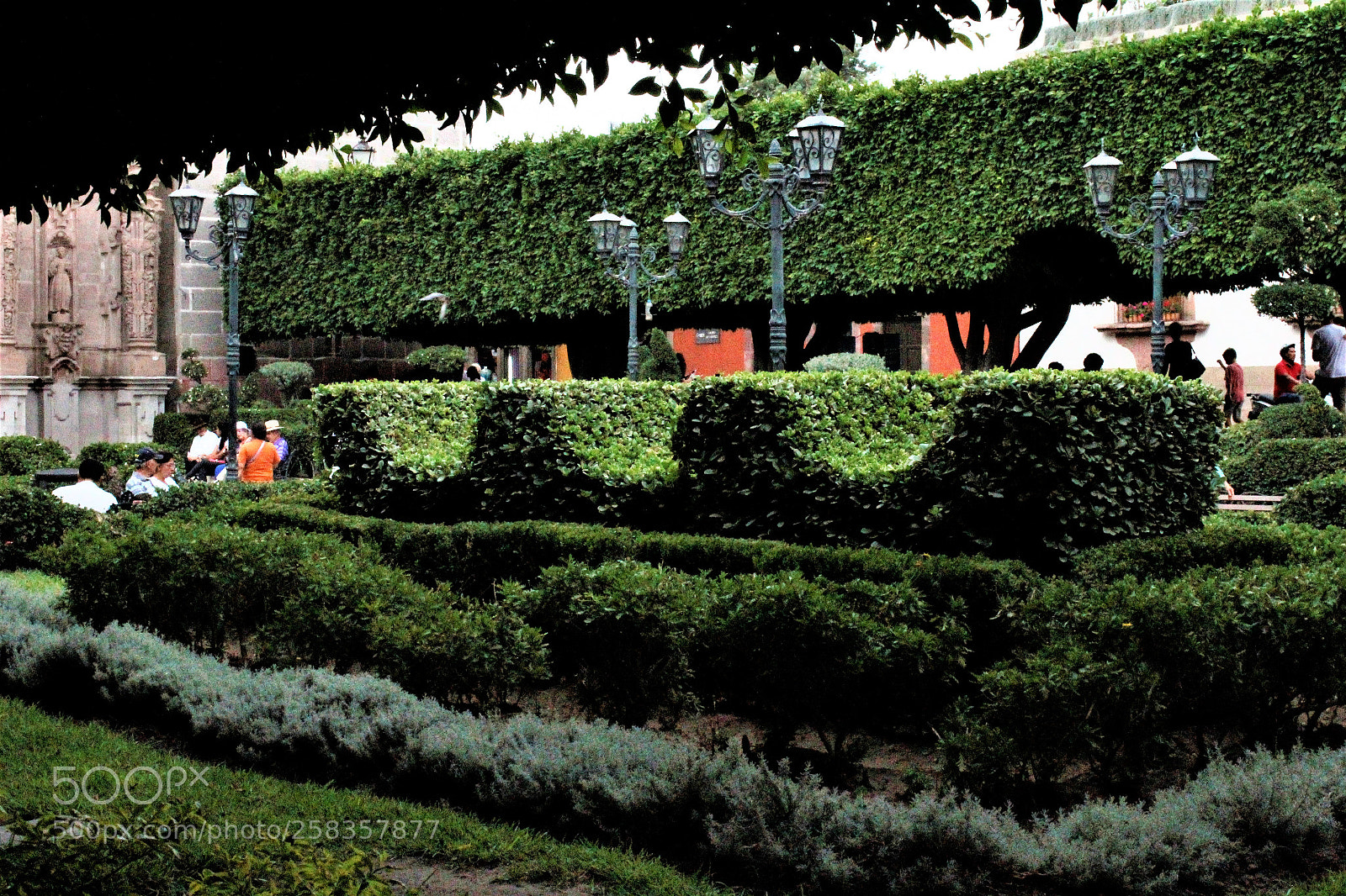 Canon EOS 1300D (EOS Rebel T6 / EOS Kiss X80) sample photo. Decoration with bushes and photography