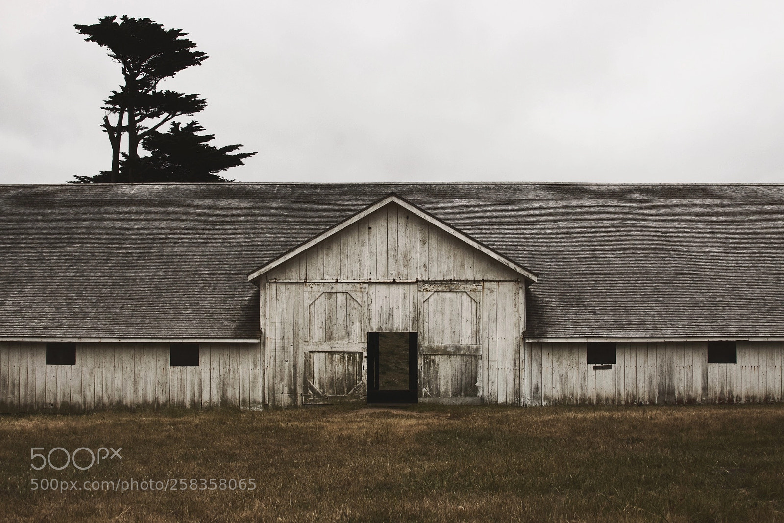 Canon EOS 70D sample photo. Pierce point ranch photography