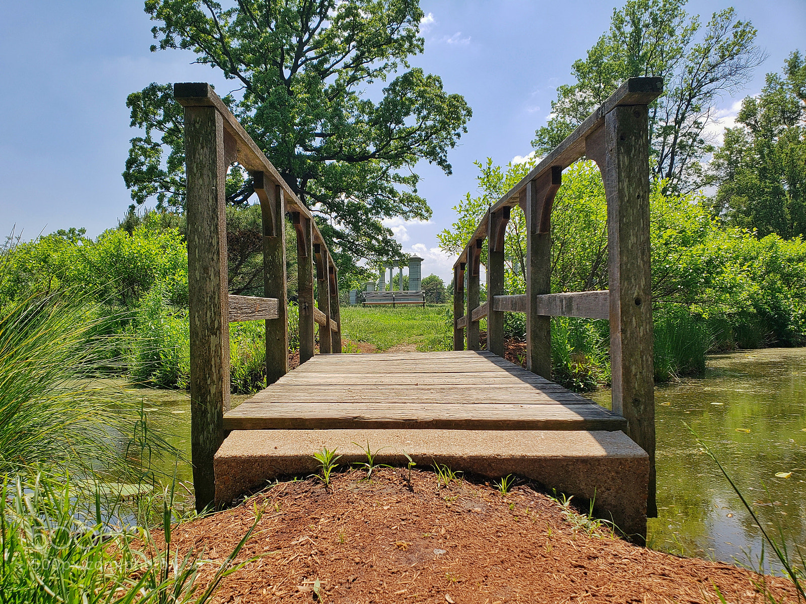 Samsung Galaxy S9 sample photo. Wooden bridge in forest photography