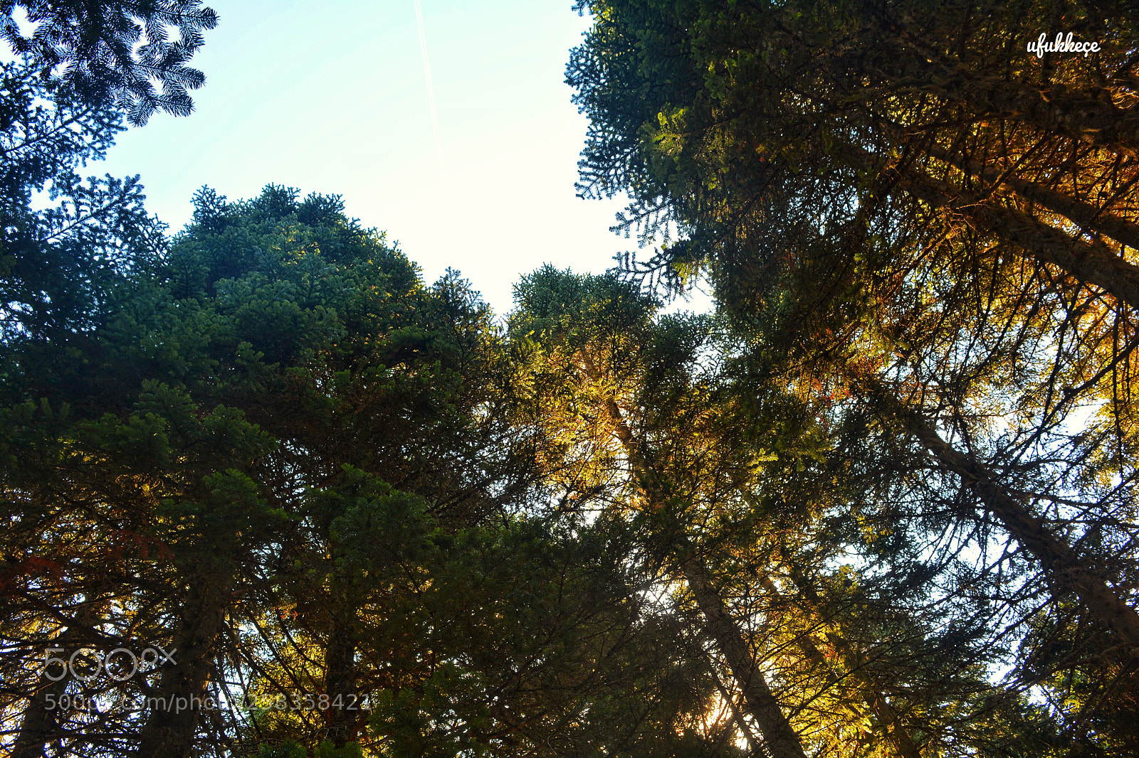 Nikon D5200 sample photo. Uludağ photography