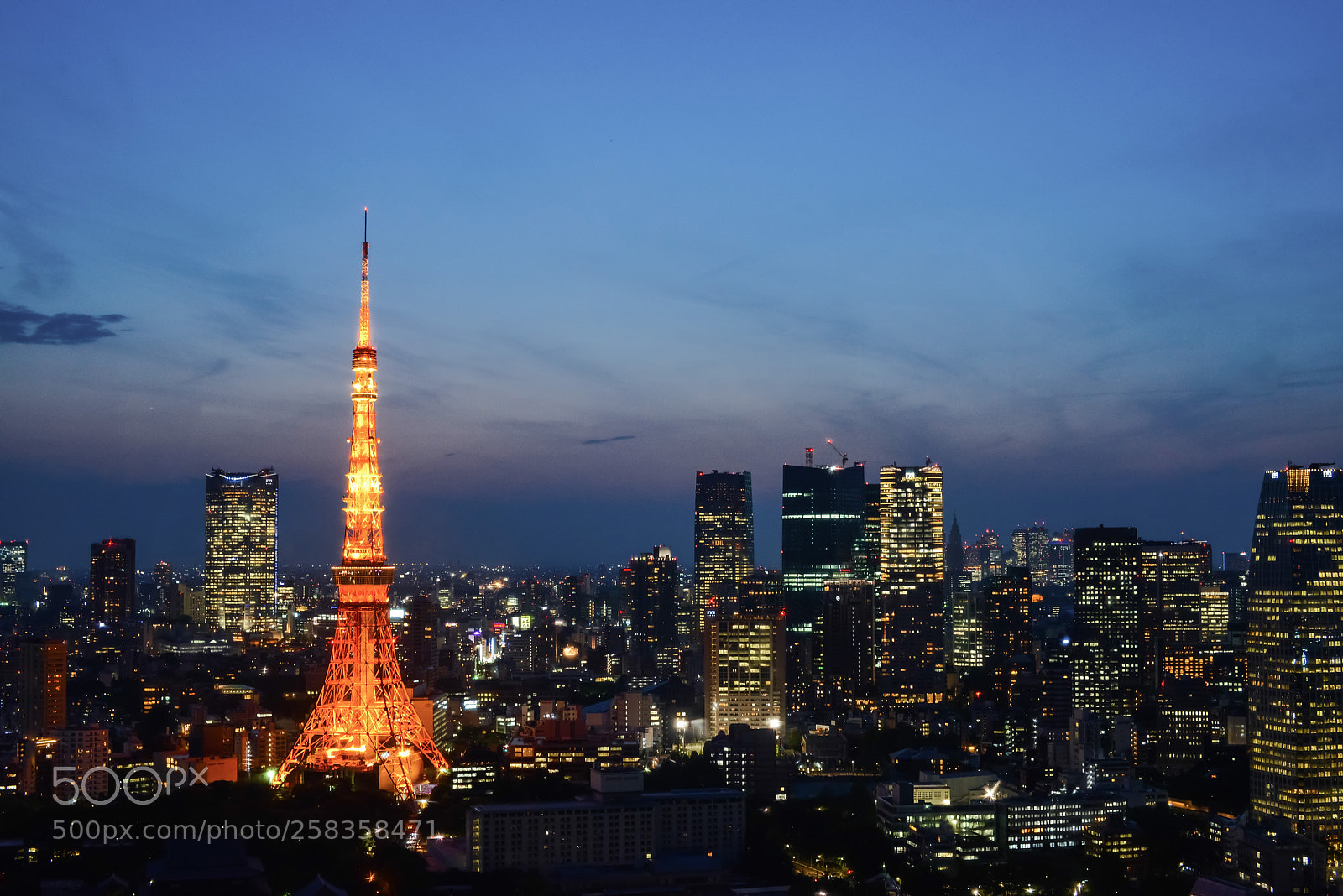 Nikon D800 sample photo. Tokyo tower photography