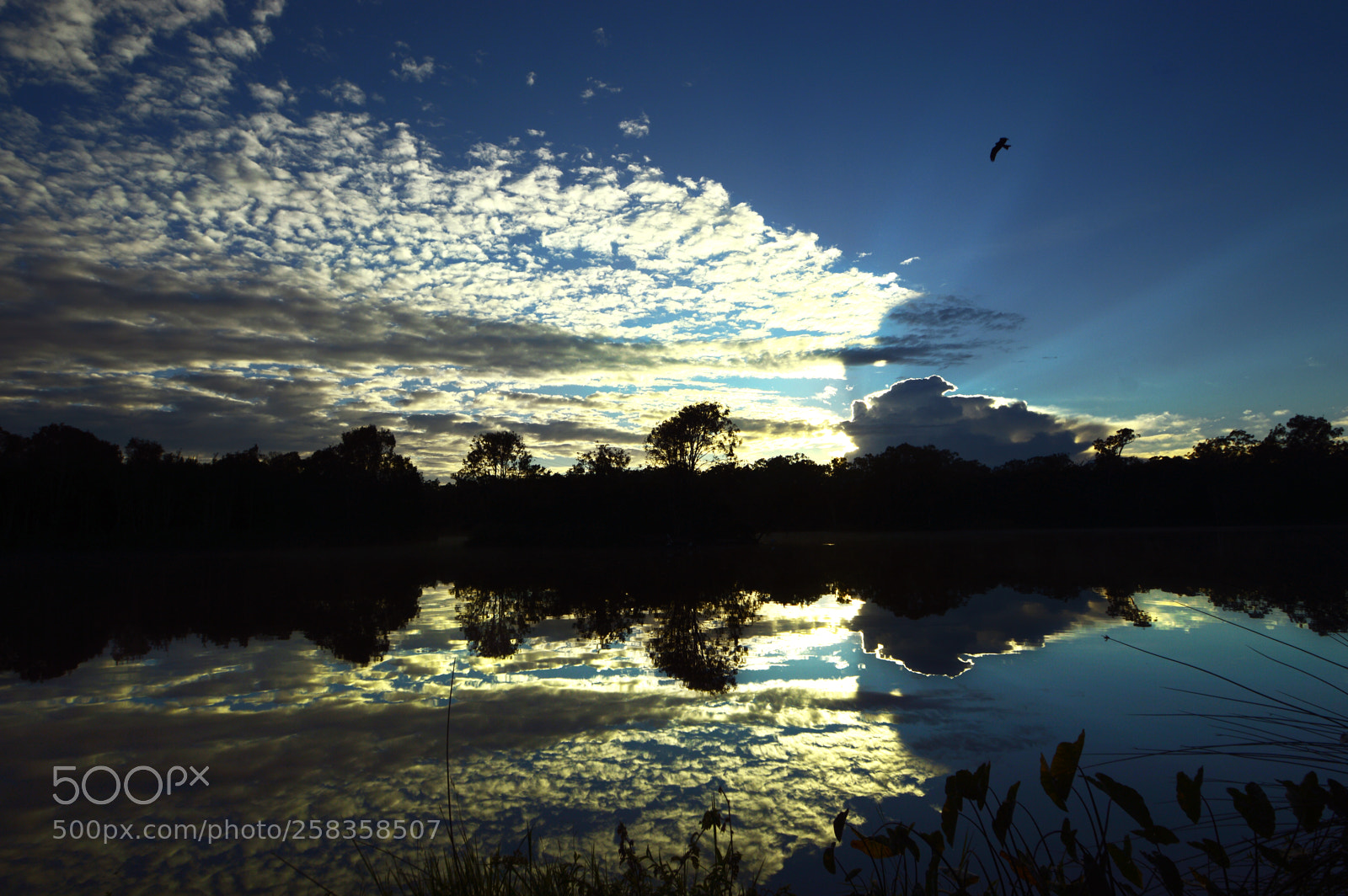 Nikon D3200 sample photo. Wetland reflections photography
