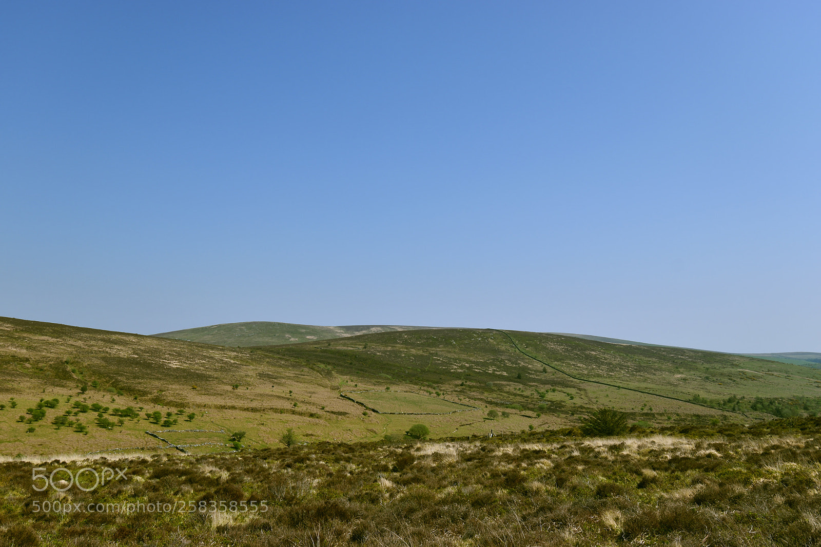 Nikon D5600 sample photo. Hills of dartmoor photography