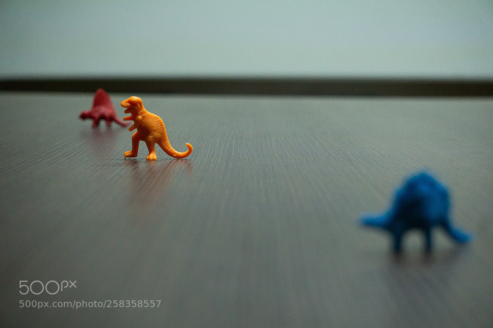 Sony a6000 sample photo. Enfoque segundo objeto photography