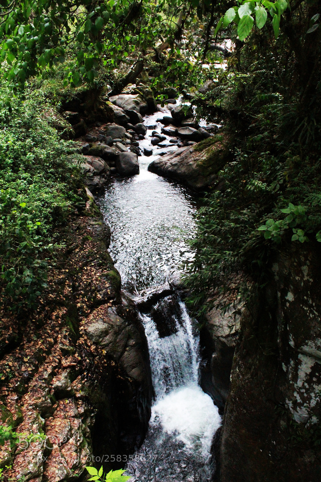 Canon EOS 1300D (EOS Rebel T6 / EOS Kiss X80) sample photo. Cascada de teocelo, ver. photography