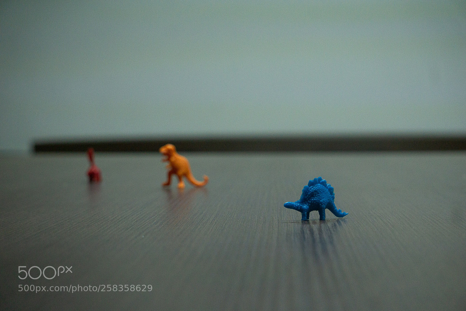 Sony a6000 sample photo. Enfoque primer objeto photography