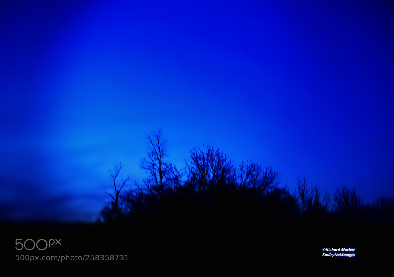 Nikon D5000 sample photo. Blue evening photography