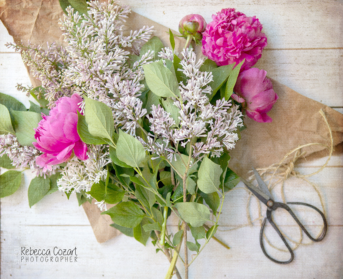 Canon EOS 5D Mark IV sample photo. Lilacs and peonies photography