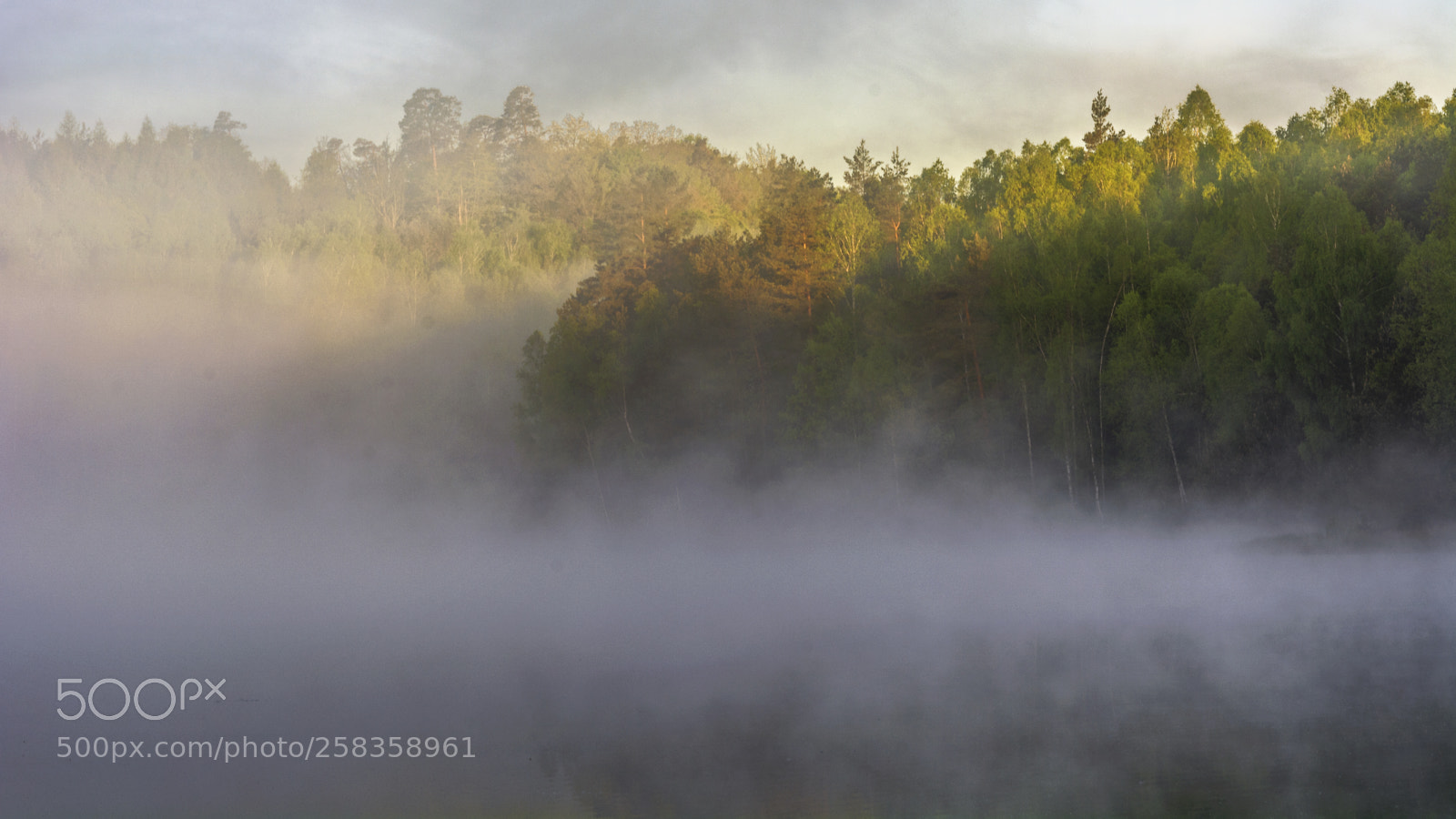 Nikon D5200 sample photo. First light photography