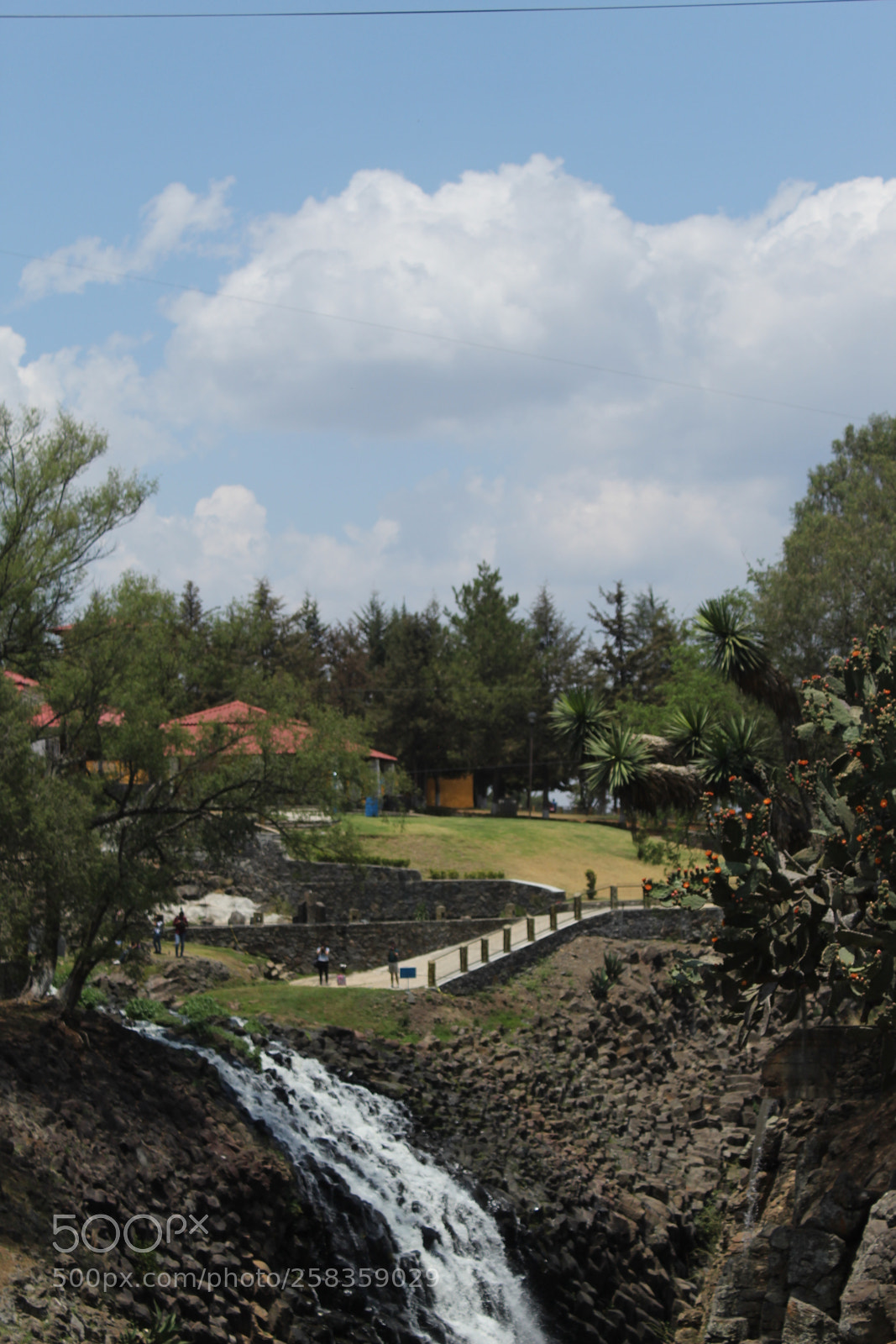 Canon EOS 1300D (EOS Rebel T6 / EOS Kiss X80) sample photo. Naturaleza viva photography
