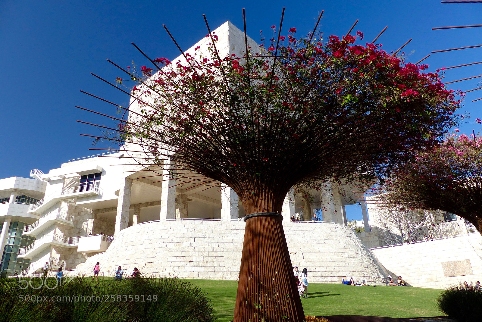 Panasonic Lumix DMC-FZ200 sample photo. Umbrella-shaped bougainvillea arbors photography