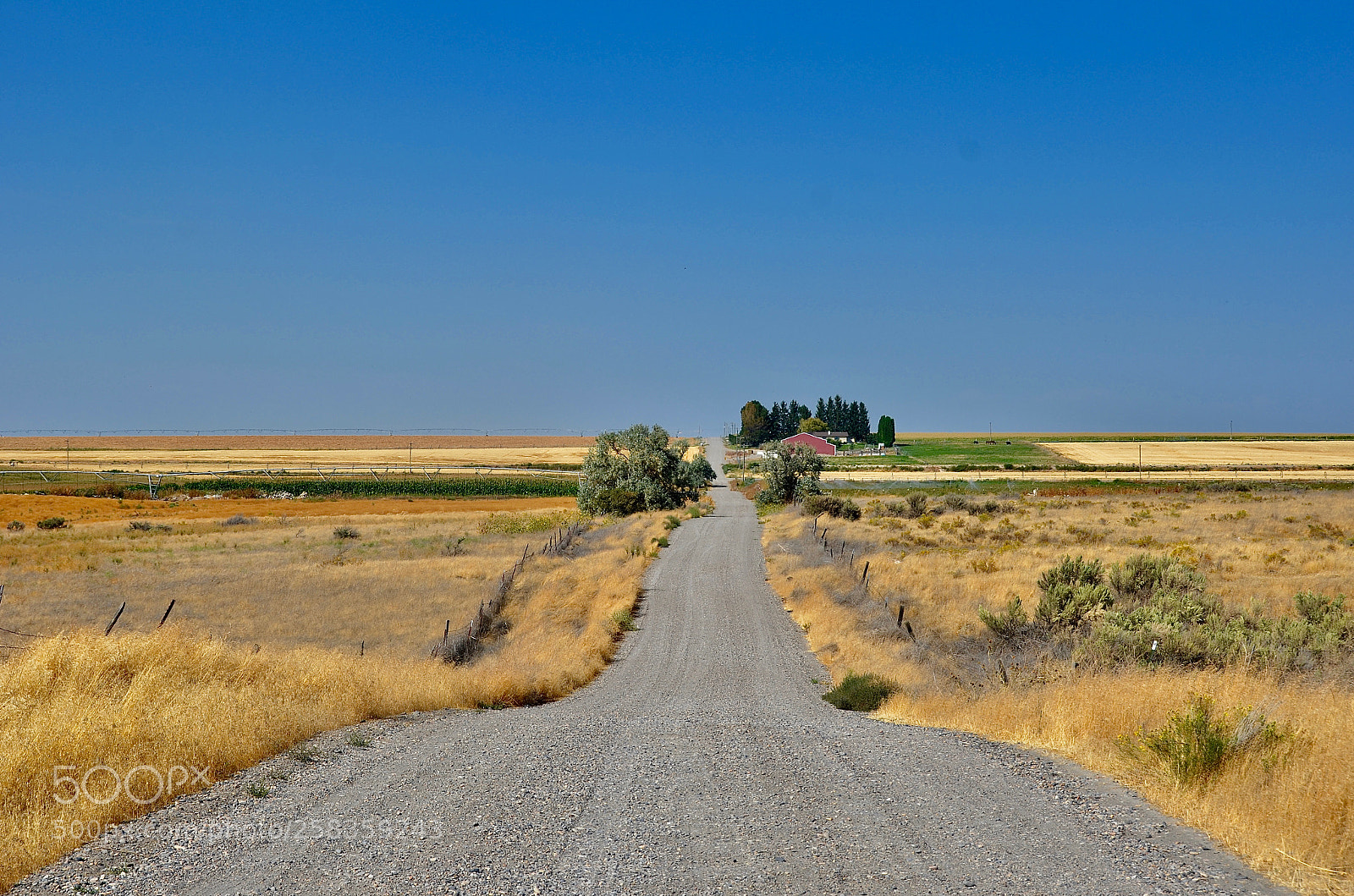 Nikon D7000 sample photo. Return photography