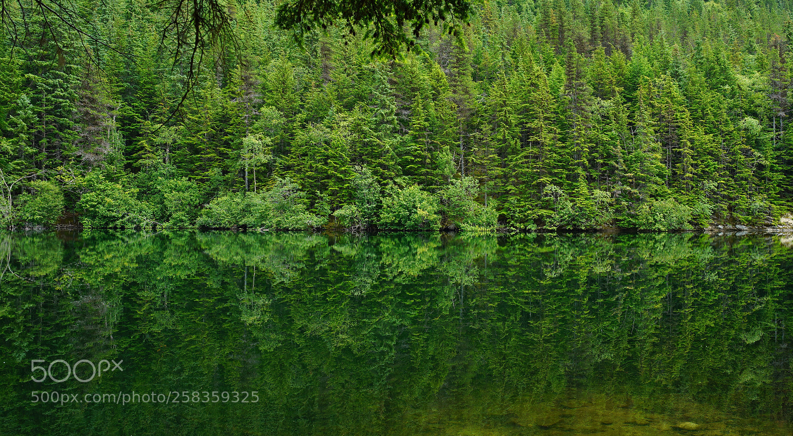 Sony a9 sample photo. The reflection  photography