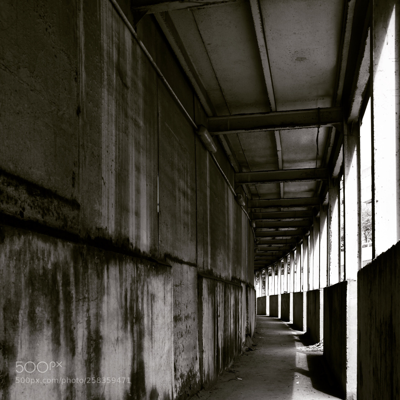 Canon EOS 50D sample photo. The road photography