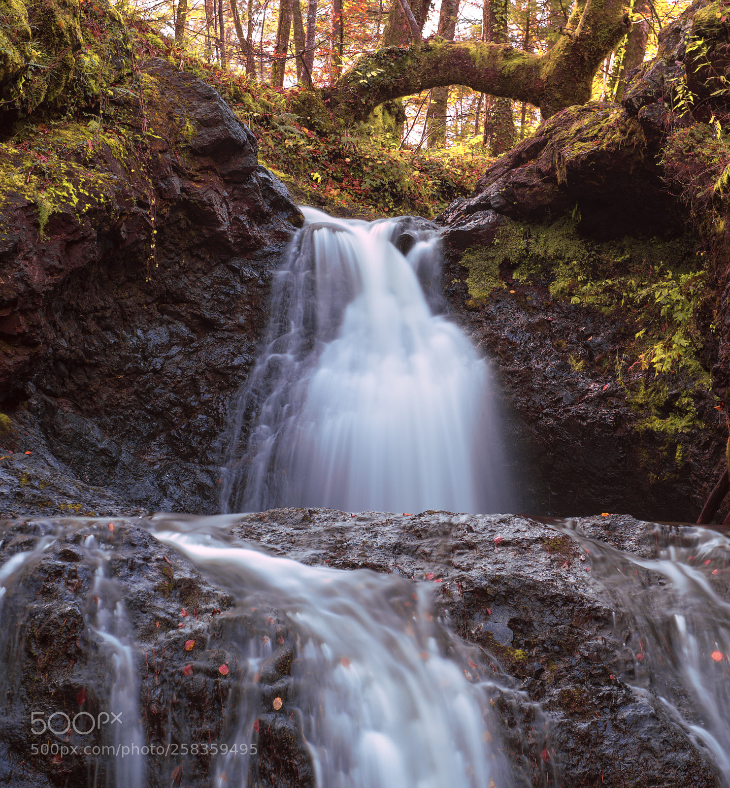 Nikon D610 sample photo. Little waterfall photography