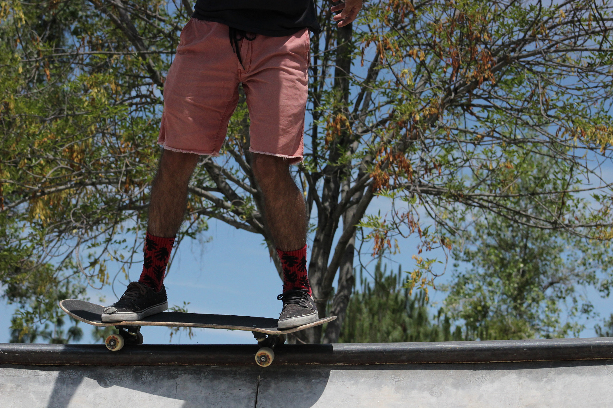 Canon EF 75-300mm f/4-5.6 sample photo. Skate or die photography