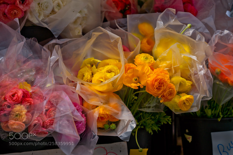Sony a99 II sample photo. Flower stand photography